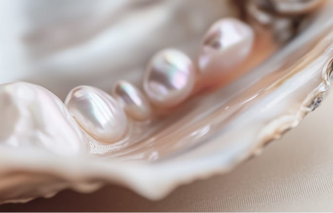 命を無駄なく活かしたレザー