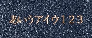 日本語(游明朝)